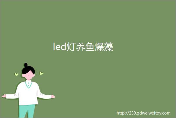 led灯养鱼爆藻