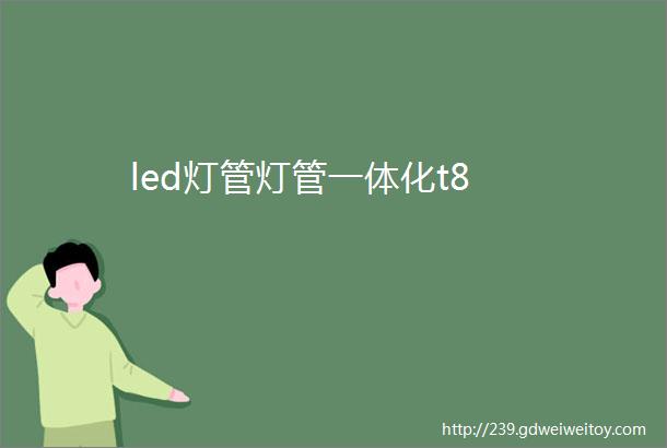 led灯管灯管一体化t8